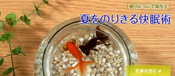 夏をのりきる快眠術
