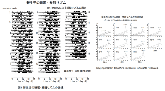 新生児の睡眠・覚醒リズム